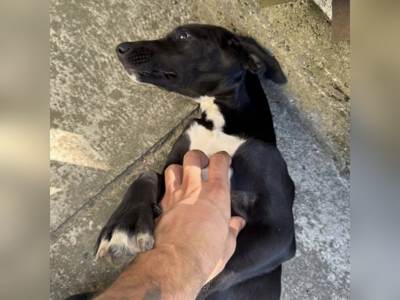 Mimi eine traurige Seele