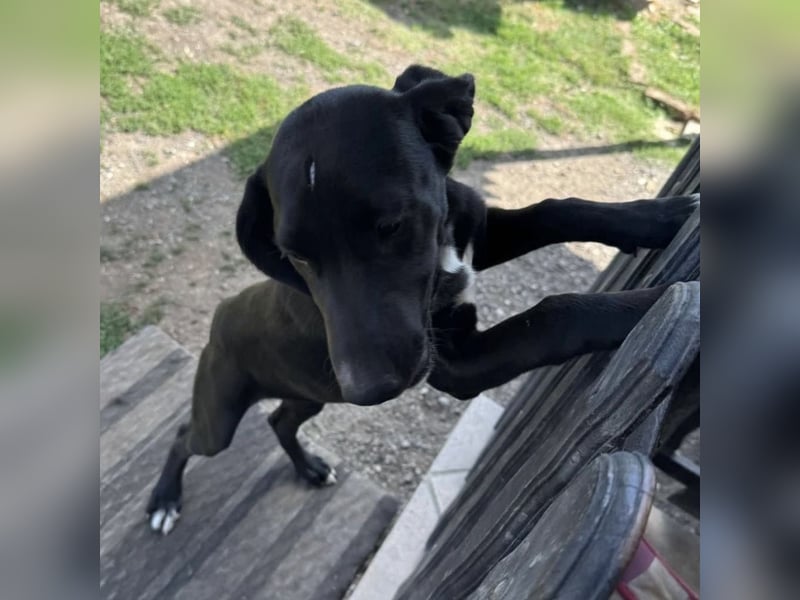 Mimi eine traurige Seele