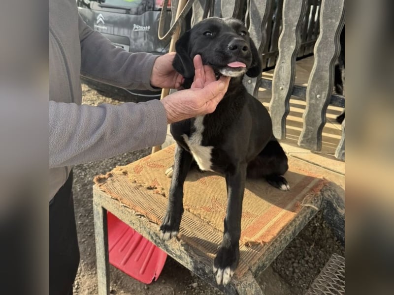 Mimi eine traurige Seele