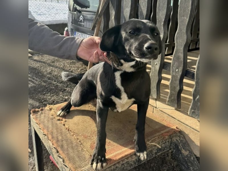 Mimi eine traurige Seele