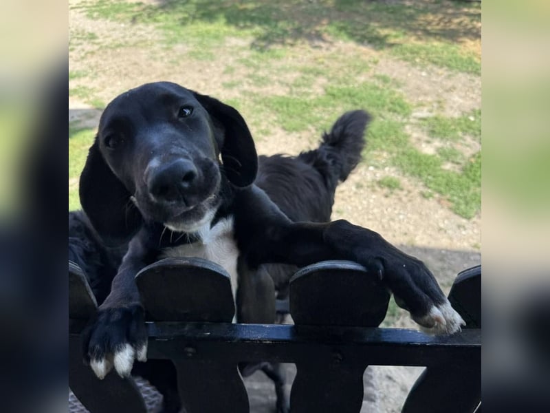 Mimi eine traurige Seele