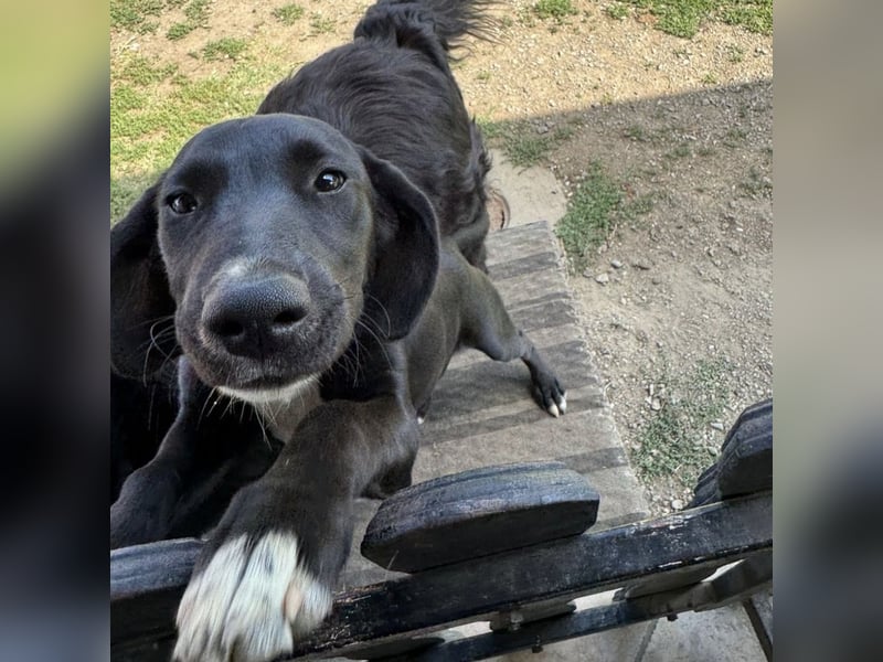 Mimi eine traurige Seele