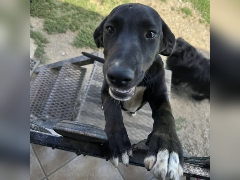 Mimi eine traurige Seele