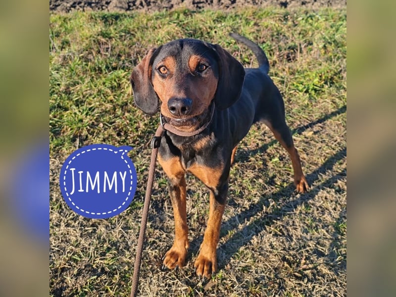 Jimmy braucht Liebe