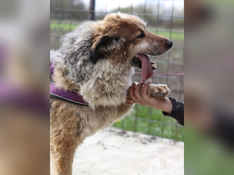 Pipi möchte endlich gesehen werden