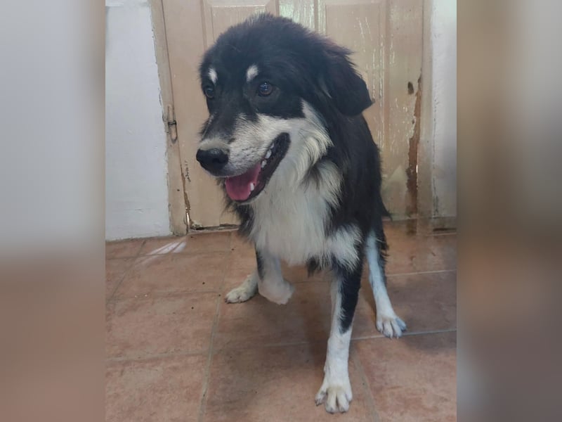 LeeLoo braucht ganz viel Liebe