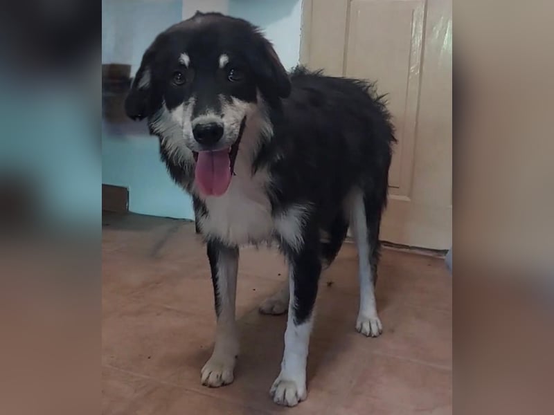 LeeLoo braucht ganz viel Liebe