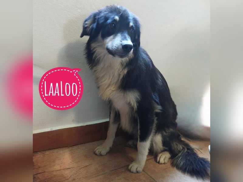 LeeLoo braucht ganz viel Liebe