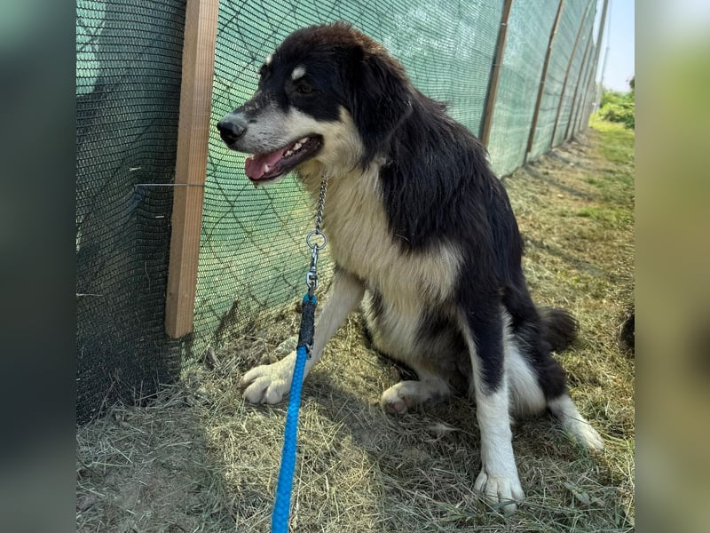LeeLoo braucht ganz viel Liebe