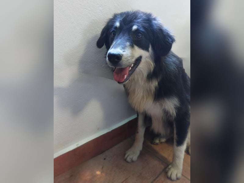 LeeLoo braucht ganz viel Liebe