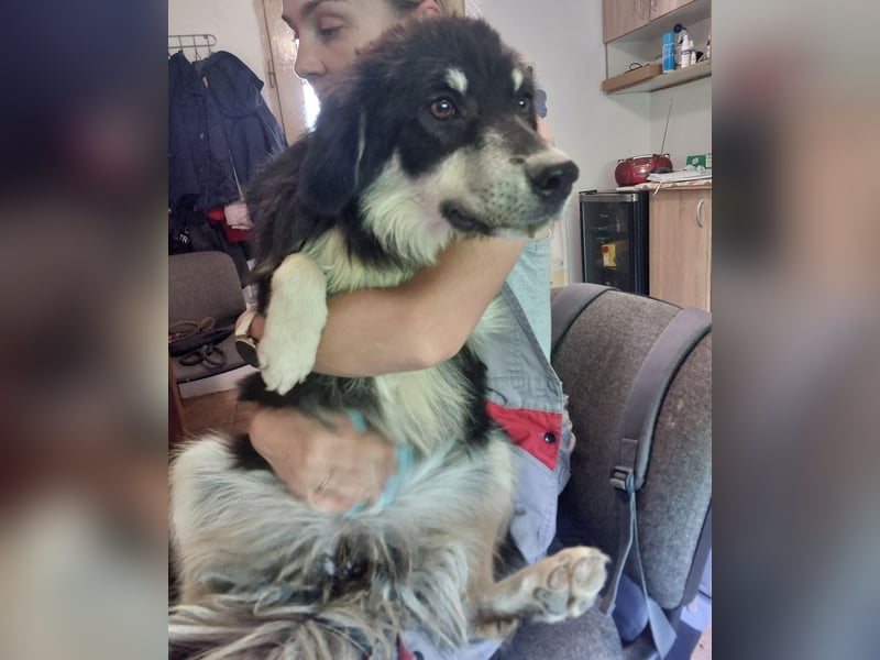 LeeLoo braucht ganz viel Liebe