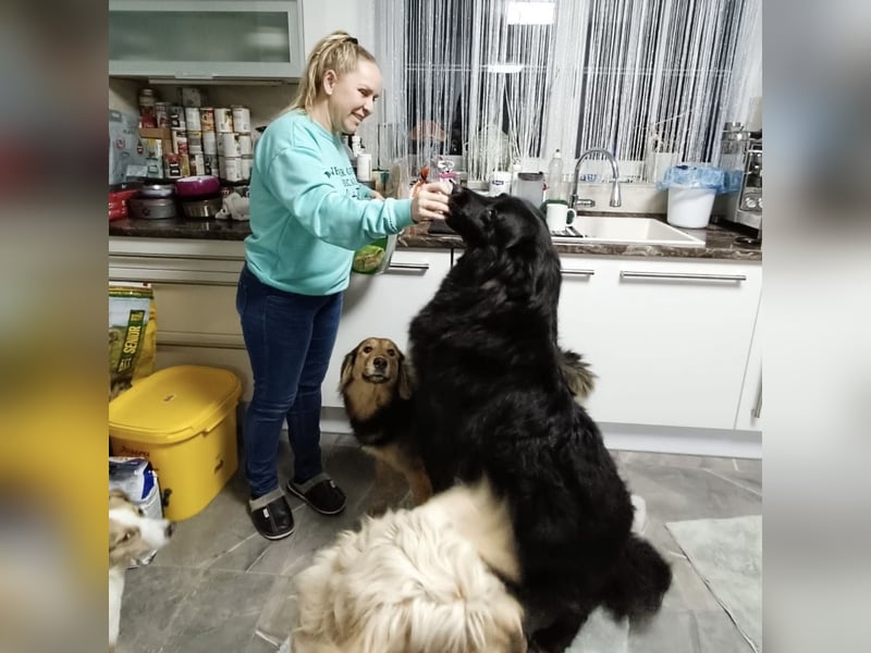 Lika eine schwarze Perle zum lieb haben