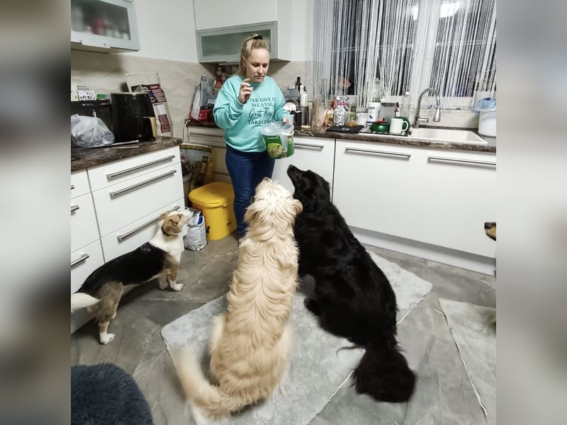 Lika eine schwarze Perle zum lieb haben