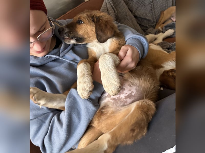 Rumi ein kleiner großer Schatz