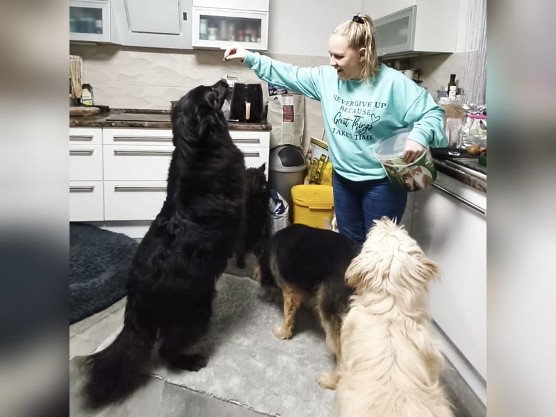 Lika eine schwarze Perle zum lieb haben