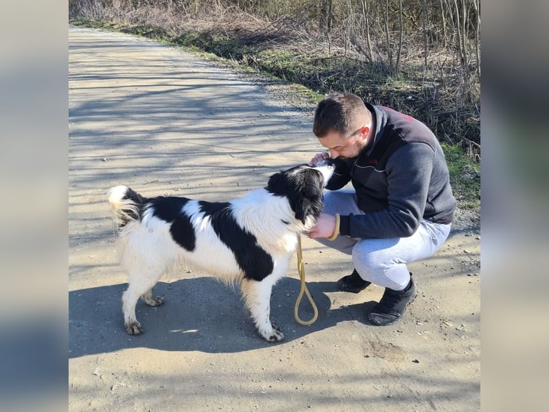 Melly ein Traumwesen