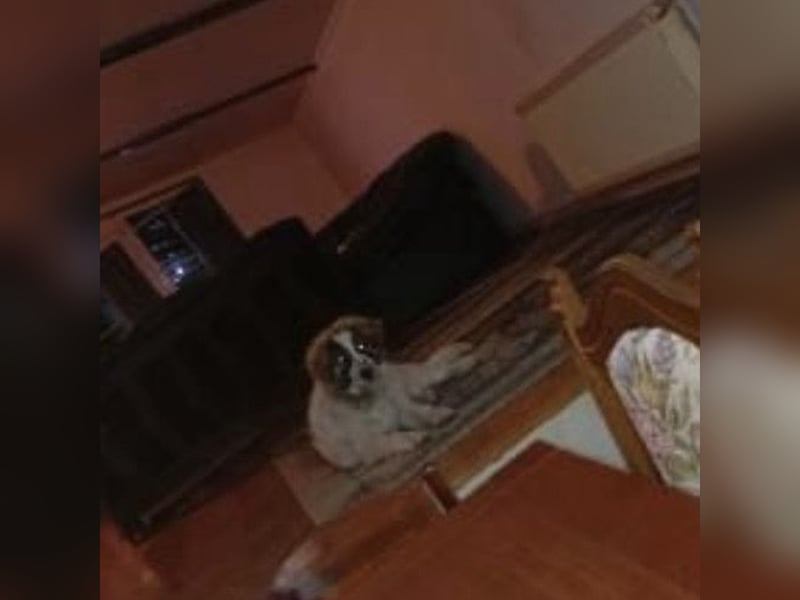 Lusi ein tolles Mädchen