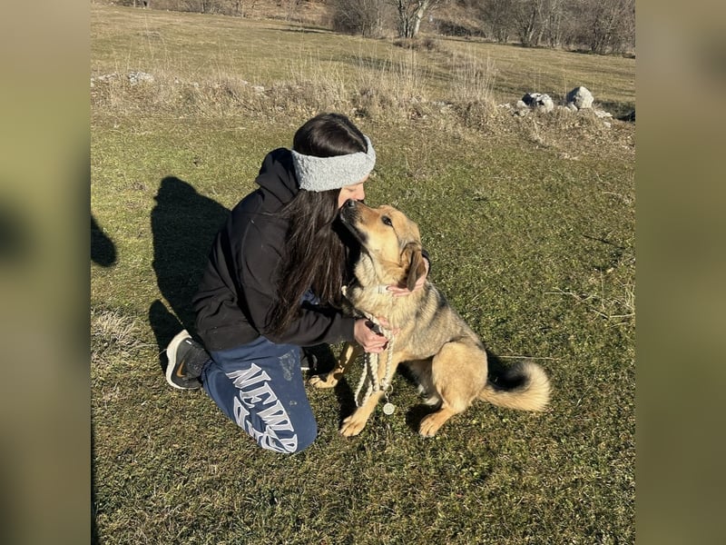 Burbon sucht sein Forever Home ❤️