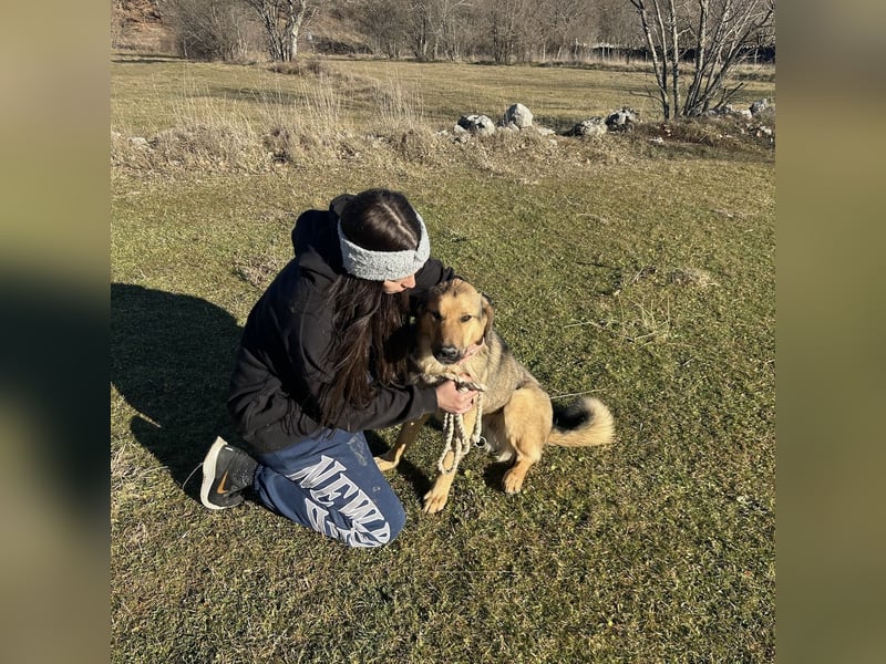 Burbon sucht sein Forever Home ❤️