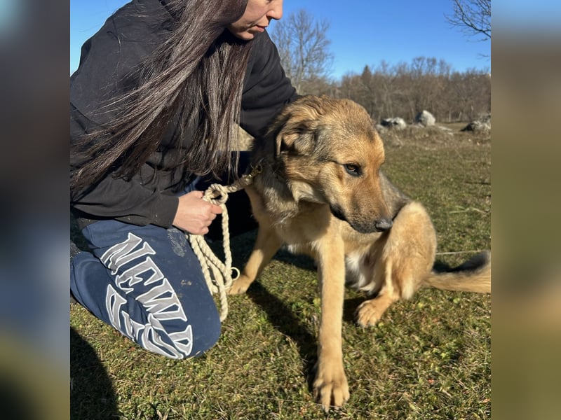 Burbon sucht sein Forever Home ❤️