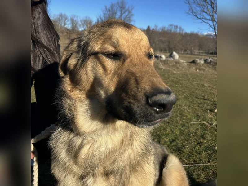Burbon sucht sein Forever Home ❤️