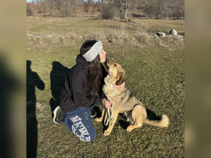 Burbon sucht sein Forever Home ❤️