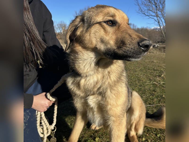 Burbon sucht sein Forever Home ❤️