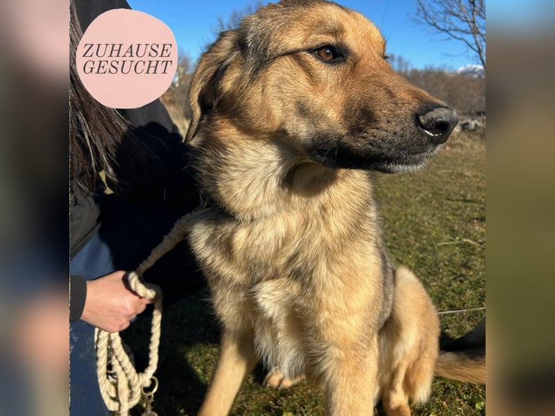 Burbon sucht sein Forever Home ❤️