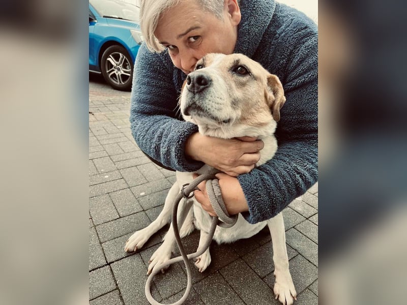 Lilly eine aktive ältere Hündin mit Seele