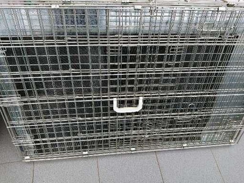 Verkaufe Hundezubehör.