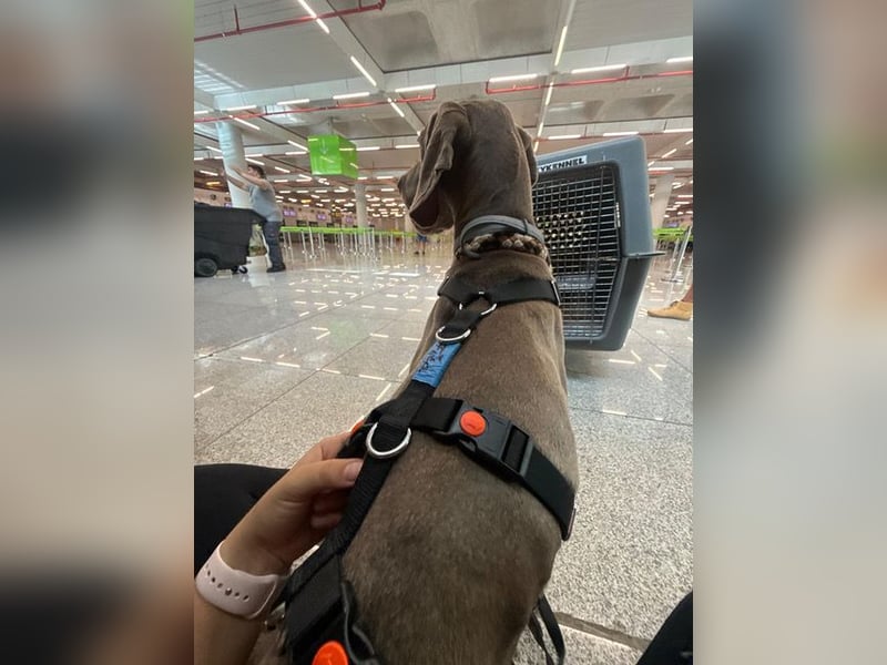 Fita ist eine neugierig und kluge Schmuserin