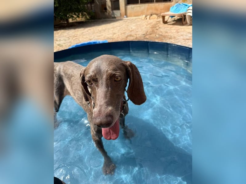 Fita ist eine neugierig und kluge Schmuserin