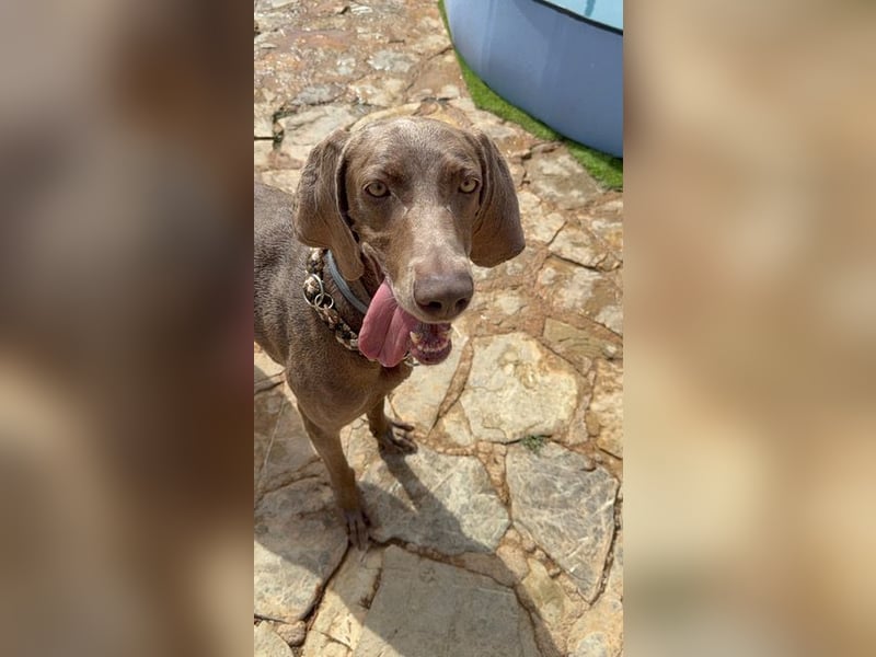 Fita ist eine neugierig und kluge Schmuserin