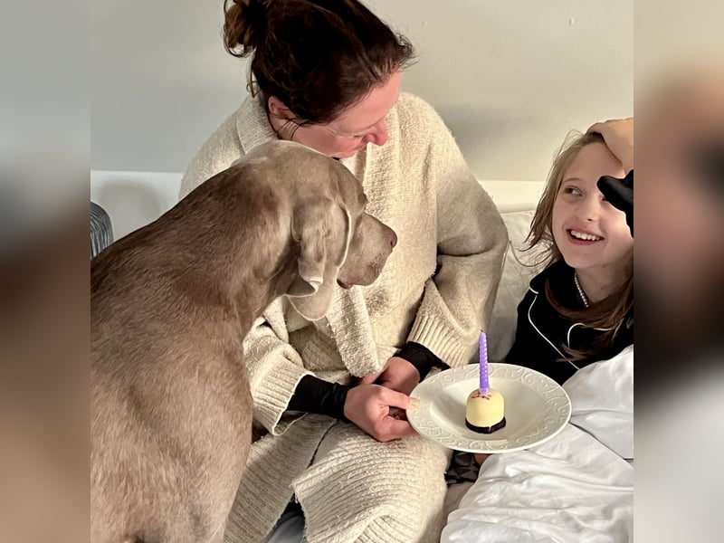 Weimaraner-Mix Welpen aus liebevoller Verpaarung – 12 kleine Wunder suchen ihr Zuhause