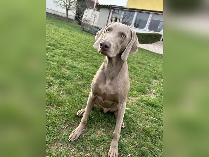 Apollo sucht Aufgabe