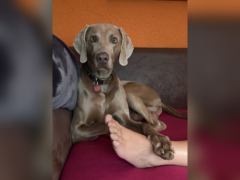 Apollo sucht Aufgabe