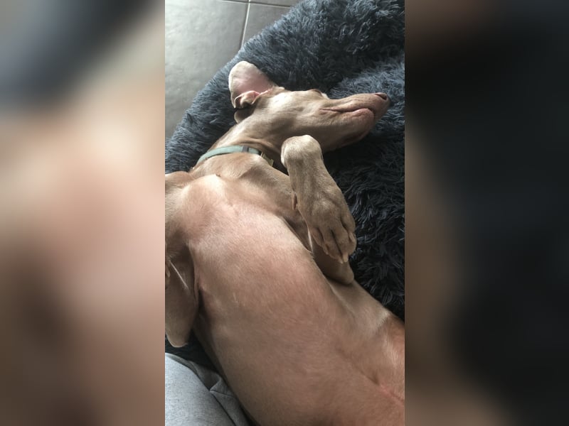 Apollo sucht Aufgabe