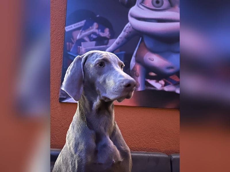 Apollo sucht Aufgabe