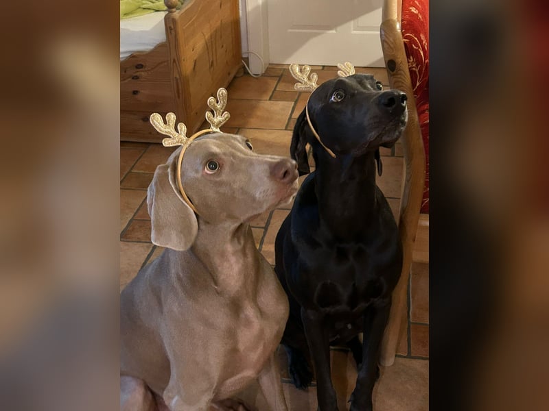 Apollo sucht Aufgabe