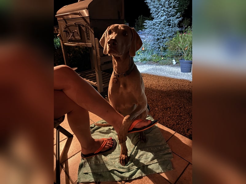 Apollo sucht Aufgabe