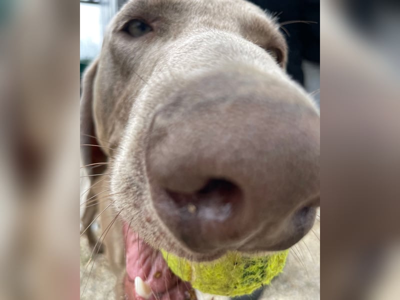 Füge VA, braucht klare Führung