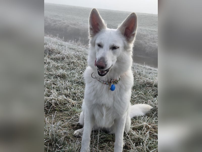 Verpaarung im Frühjahr 2026