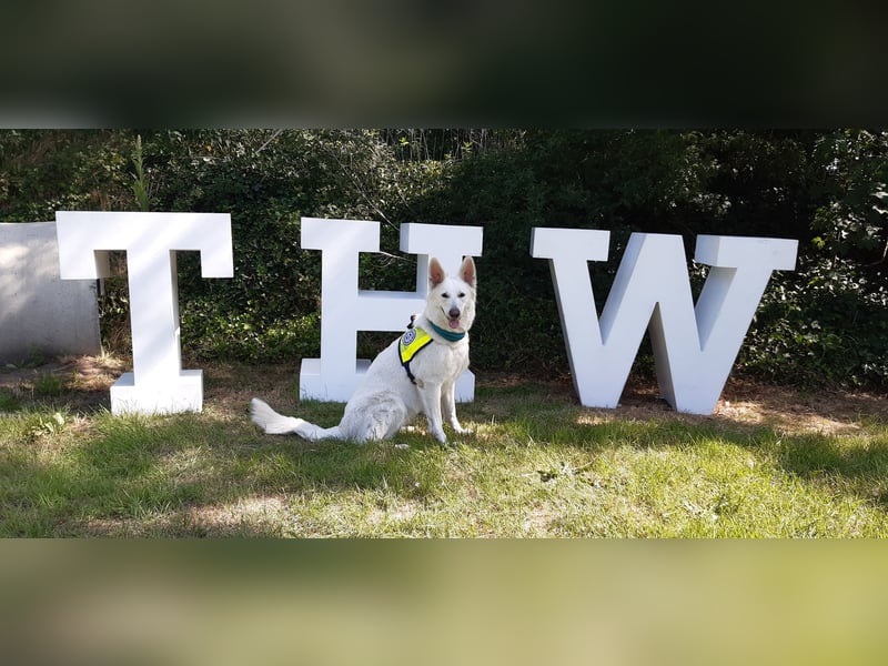 Wurfplanung Frühjahr 2026