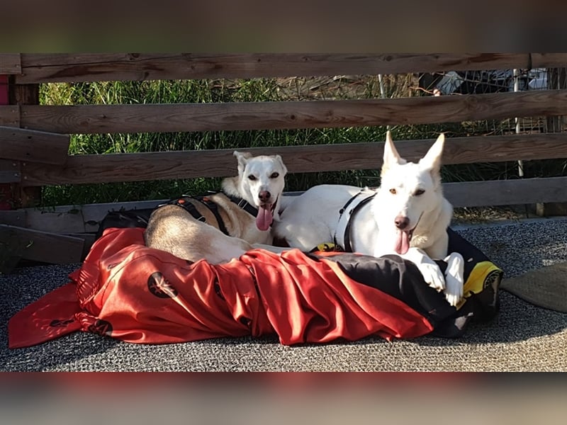 LILI und LOLI, Schwesternpaar in Süddeutschland