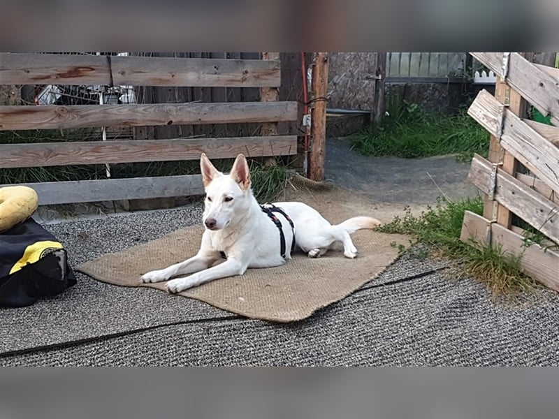 LILI und LOLI, Schwesternpaar in Süddeutschland