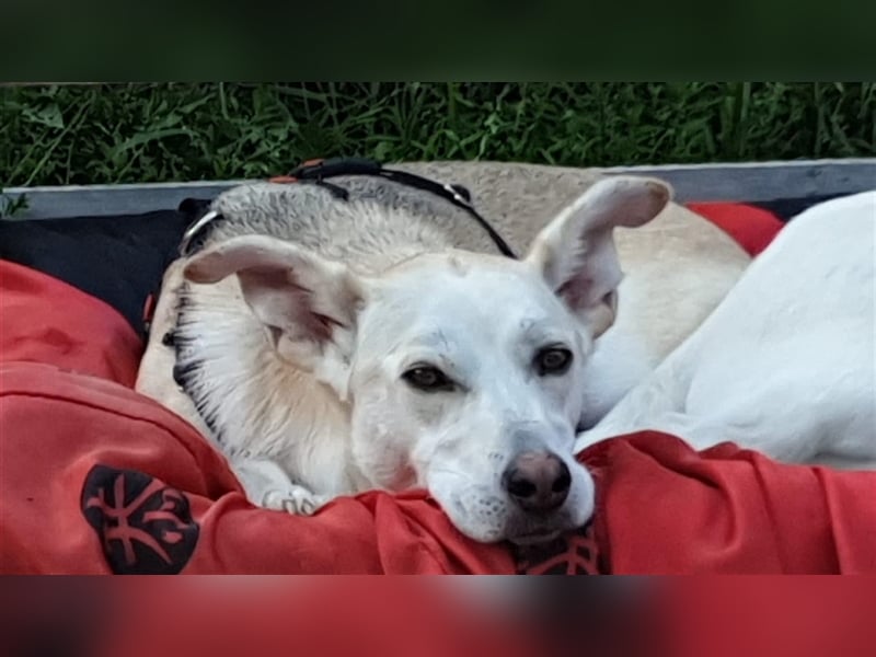 LILI und LOLI, Schwesternpaar in Süddeutschland