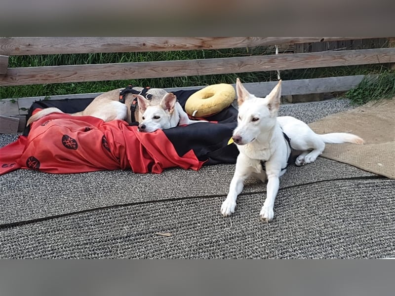 LILI und LOLI, Schwesternpaar in Süddeutschland