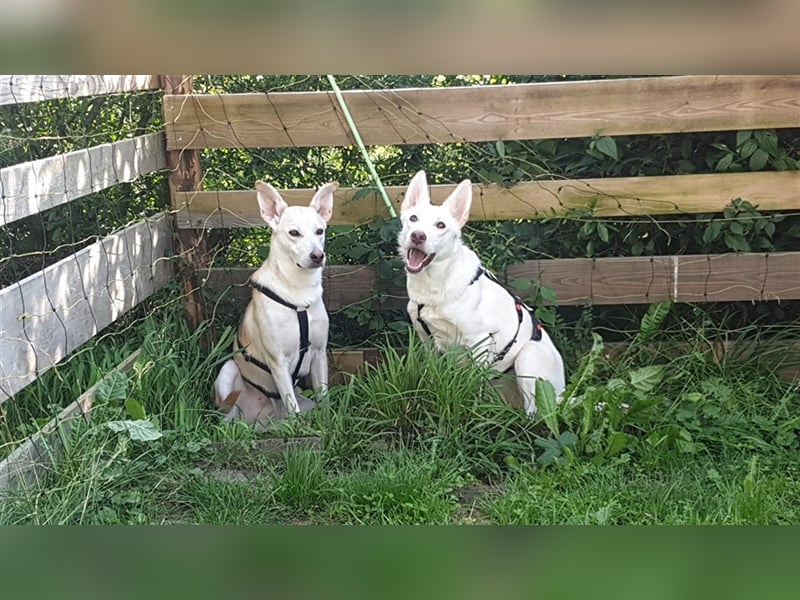 LILI und LOLI, Schwesternpaar in Süddeutschland