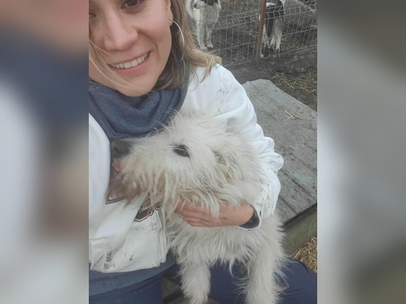 CHU'SI gerettet aus Tötung Slatina, Ostern '22