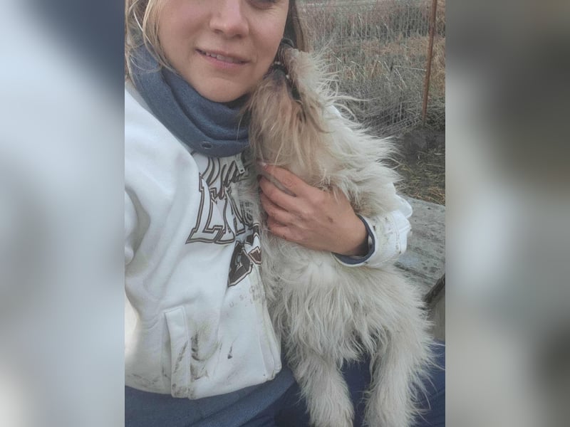 CHU'SI gerettet aus Tötung Slatina, Ostern '22
